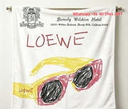 LOEWE Beverly Wilshire Hotel Sunglasses Print Flannel Throw Blanket Cozy Sofa Blanket L284